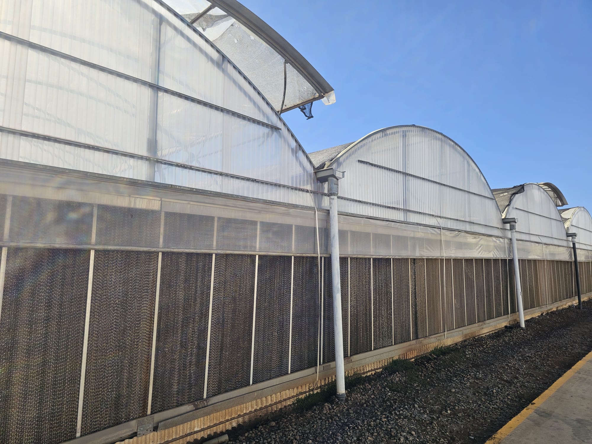 ININSA Chile — Multicapilla Curvo / Vivero